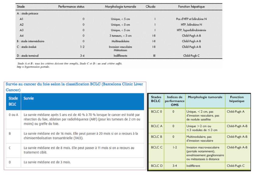 (HTP : hypertension portale)